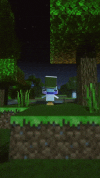 Minecraftmemes GIF by Youtooz