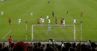 Toronto Fc Football GIF by Major League Soccer