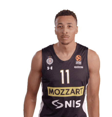 Partizan Sticker by sportmts