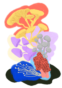 Loop Vibes Sticker by Danie Drankwalter