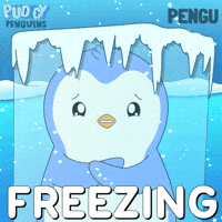 Freezing Ice Cold GIF by Pudgy Penguins