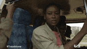 Usa Network Television GIF by Treadstone