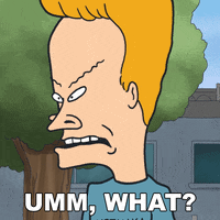 Say What Excuse Me GIF by Paramount+