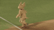 epchihuahuas baseball chihuahua mascots chico GIF