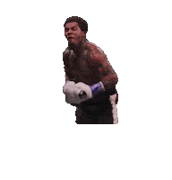 Gervonta Davis Sport Sticker by SHOWTIME Sports