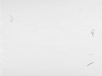 Animation Dog GIF by Jonah Primiano