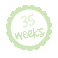 Baby Bump Sticker by Krissyanne Designs