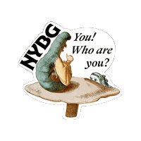 nybg  Sticker