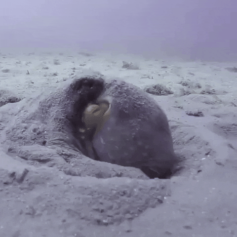 blast off space GIF by OctoNation