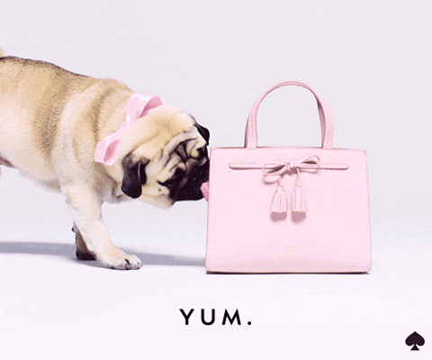 Kate Spade No GIF by kate spade new york