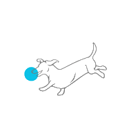 Swintonpickleball Sticker by Campbell Creative