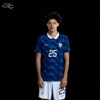 France Uefa GIF by Respective