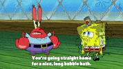 season 9 lost in bikini bottom GIF by SpongeBob SquarePants