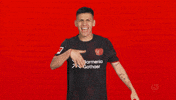 Bayer Leverkusen GIF by Bundesliga
