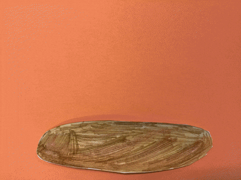 Pandabeer GIF by Kunstkwartier