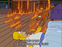 homer simpson GIF