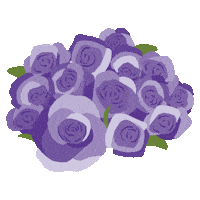 Flowers College Sticker by Bishop's University