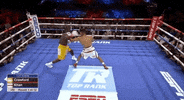 toprank boxing fighting espn fighters GIF