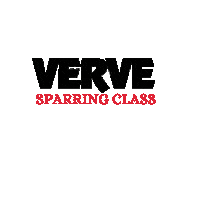 Class Sparring Sticker by Verve Taekwondo