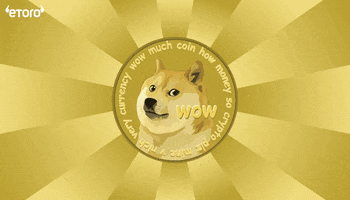 Crypto Doge GIF by eToro