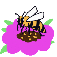 Summer Flower Sticker