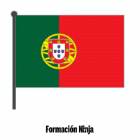 Flag Portugal GIF by Formación Ninja