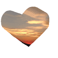 You Are My Sunshine Love Sticker by jorgemariozuleta
