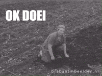 Brabant Ok GIF by BrabantinBeelden