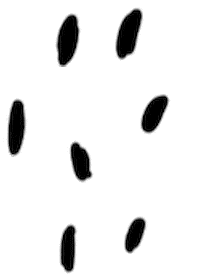 Background Accessories Sticker