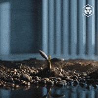 Bitcoin Eth GIF by Crypto.com