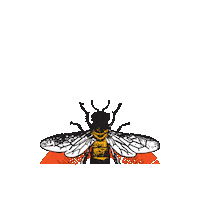 TheCaliforniaHoneyDrops honeydrops californiahoneydrops thehoneydrops thecaliforniahoneydrops Sticker