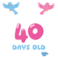 egypt 40 days old Sticker by Molfix