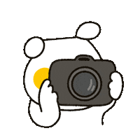 Photo Camera Sticker