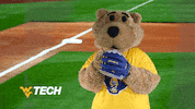 West Virginia College GIF by WVU Tech Golden Bears