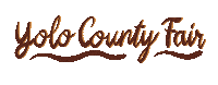yolocountyfairgrounds fun retro california entertainment Sticker