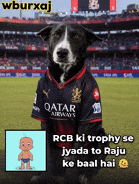 Shubman Gill Rr GIF