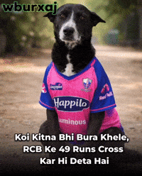 Virat Kohli Rr GIF