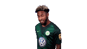 Football Soccer Sticker by VfL Wolfsburg