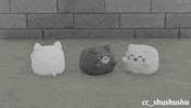 Wen Junhui Jun GIF