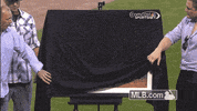 cws GIF by MLB