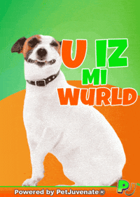 PetJuvenate petjuvenate henlo hooman fren love rescue dogs treatos and woofer for pupper GIF