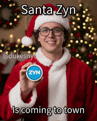 Santa Zyn GIF