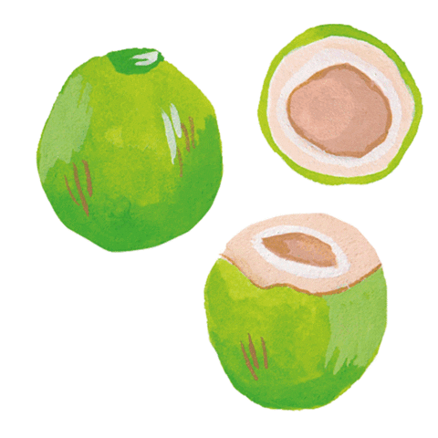 coco bali Sticker by Camille Florès