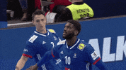 France Win GIF by EHF