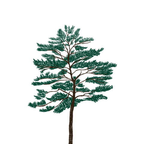 Tree Mountains Sticker by Our Second Nature