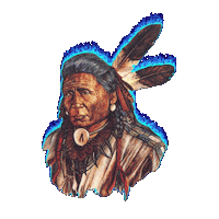 american graphics Sticker