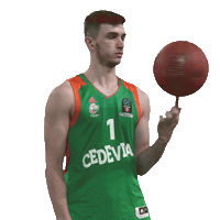 Rokradovic Sticker by kkcedevitaolimpija
