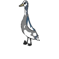 Ducks Waterfowl Sticker