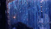 Dance Rb GIF by The Head And The Heart