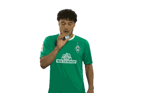 Happy Birthday Football Sticker by SV Werder Bremen